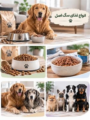غذای سگ؛ راهنمای انتخاب غذای مناسب برای سگ